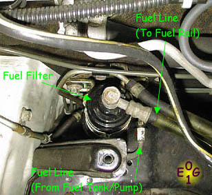 View of Fuel Filter from Above